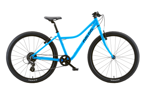 naloo_chameleon_26_blue.png