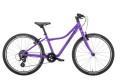 Przechwytywanie 24 fiolet.JPG