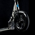 alm05bneo_2b.jpg