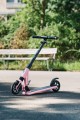 large-Micro Sprite Suspension Pink-5.jpg