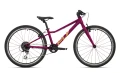 f-l-y-24-vb-purple-gold_jpg.webp