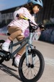 4501_lspro16_ashblue_006.jpg