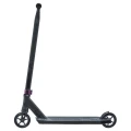 image2.webp