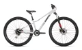 my26-racer-27-glossgrey_jpg.webp