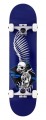 BIR full skull 2 blue.jpg