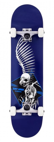 BIR full skull 2 blue.jpg